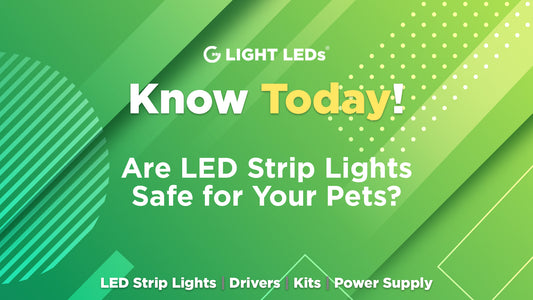 Are LED Strip Lights Safe for Your Pets?