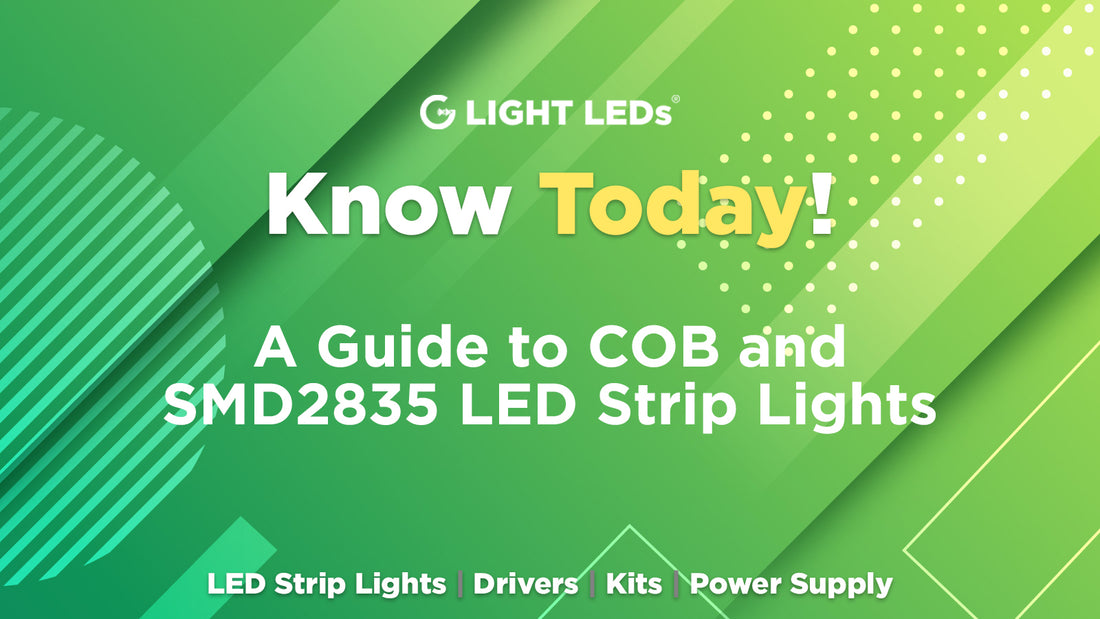 A Guide to COB and SMD2835 LED Strip Lights